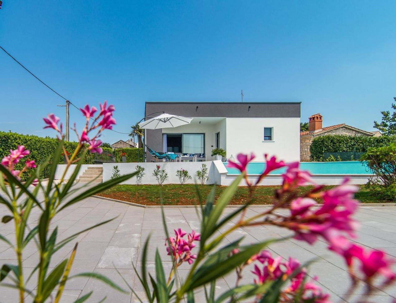 Villa Oleandra Sveti Petar u Sumi Buitenkant foto